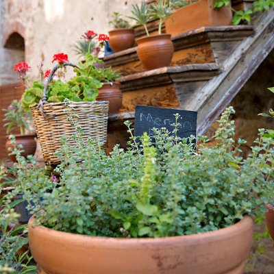 Macaron yani Mercanköşk.jpg