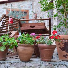 Çiçekler bahçeyi süsler.JPG