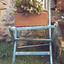 Kırılan sandalyemiz ve begonya.jpg