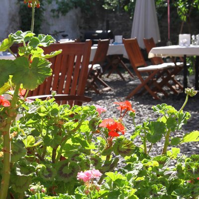 Bahçede Sardunyalarımız.JPG